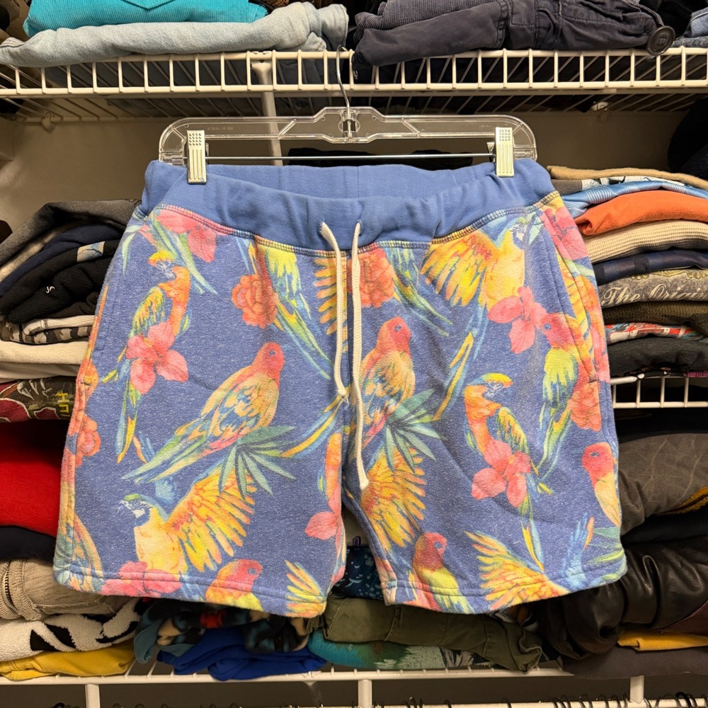 Chubbies Shorts Mens‎ M Blue Parrot Tropical Fleece Sweat Shorts 5.5 In Inseam